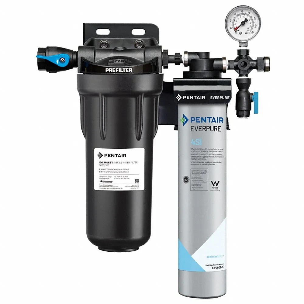 Everpure Insurice 4Si ice machine filter system